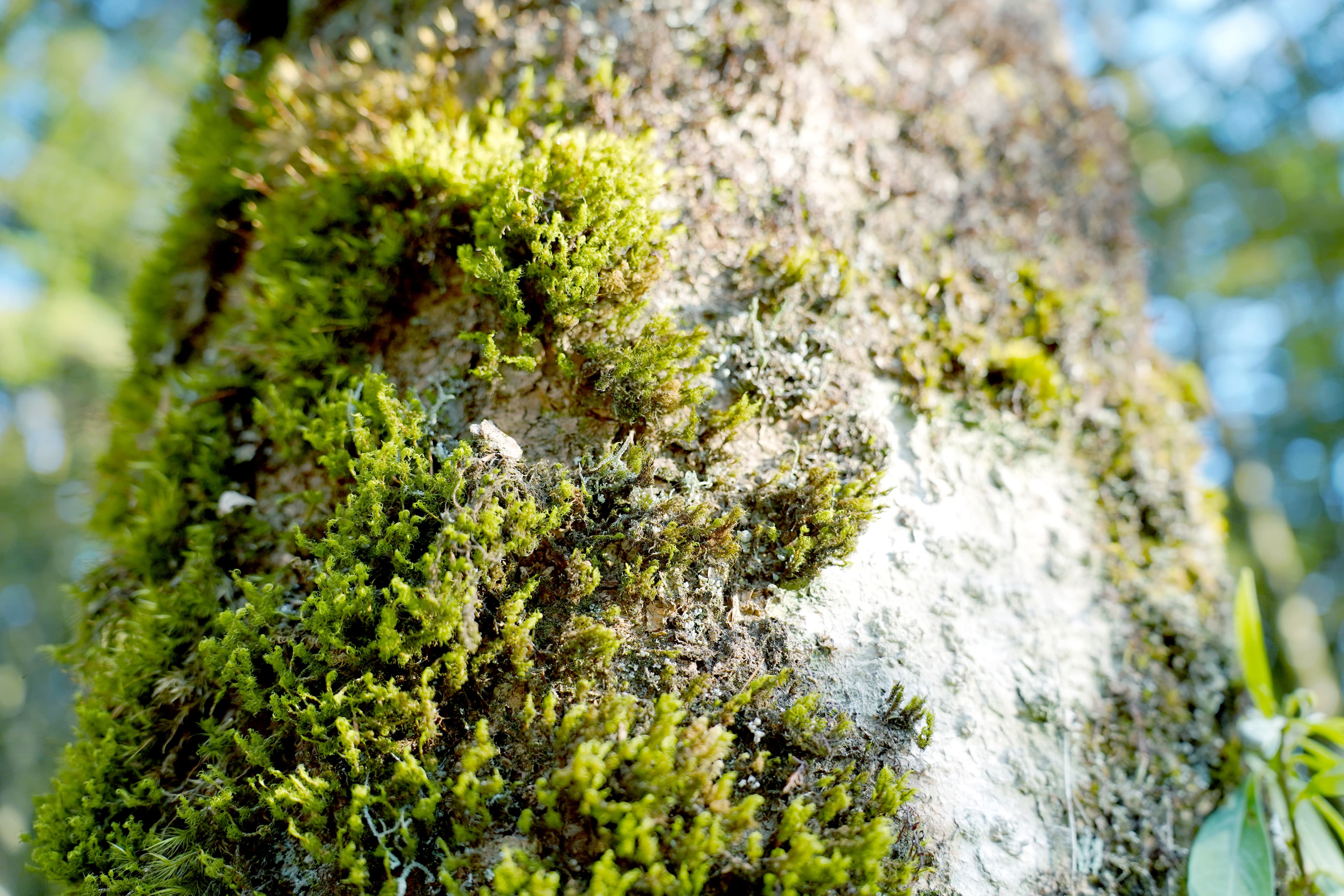 ほんの少しの深呼吸で、今日が変わる。