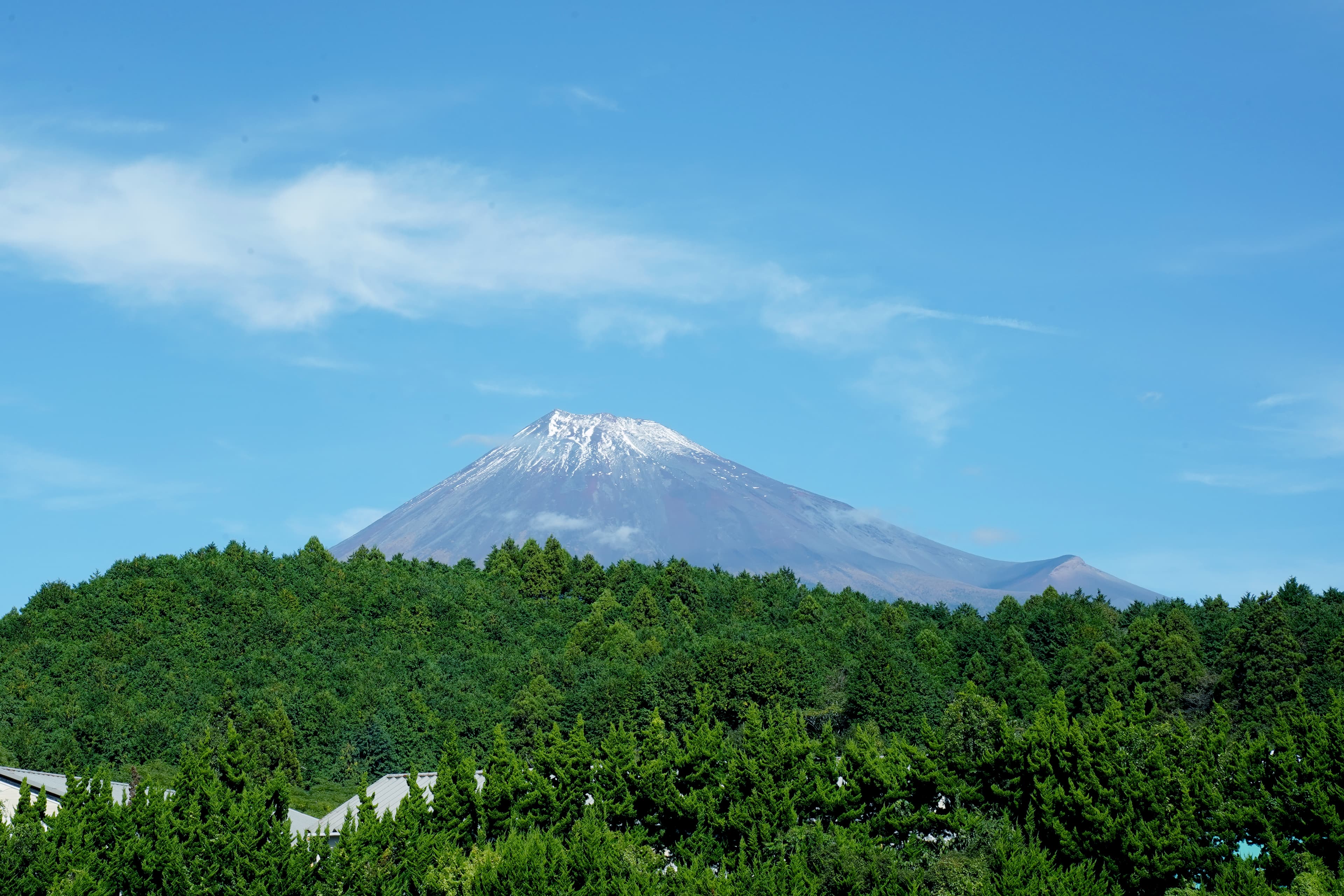 ヒノキの森でちょっと一息しませんか?